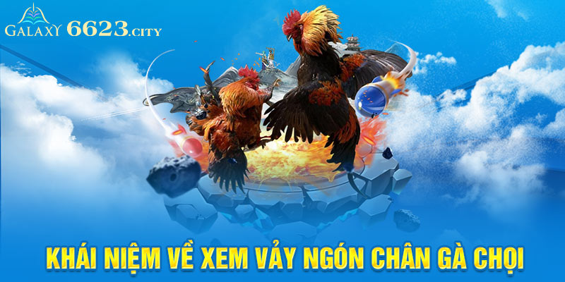 Khái niệm về xem vảy ngón chân gà chọi