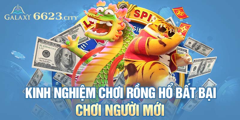 Kinh nghiệm chơi rồng hổ bất bại chơi người mới