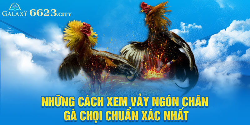 Tổng hợp các loại vảy quý hiểm - Xem vảy ngón chân gà chọi 