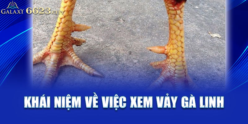 Khái niệm về việc xem vảy gà linh