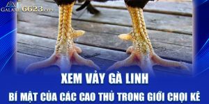 xem vảy gà linh